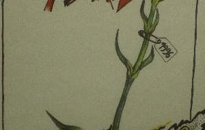 1111