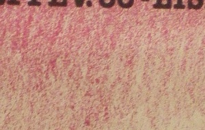 1111